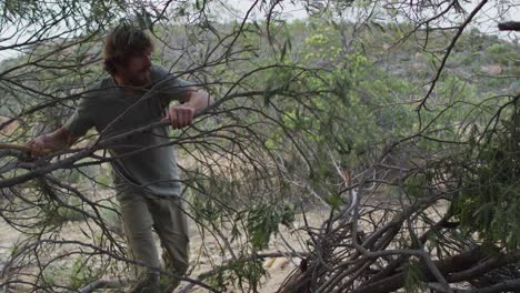 Bearded caucasian male survivalist holding axe moving branches to make shelter at camp in wilderness