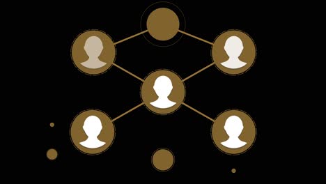 conexiones con las redes sociales