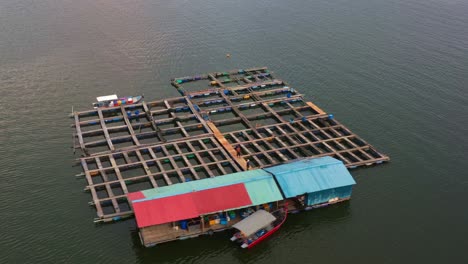 aquaculture floating fish farms, breeding, rearing, and harvesting of fish and shellfish in water environments, with cages and nets teeming with marine life, connected by wooden walkways