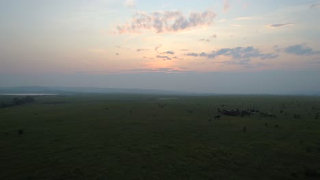 Vuelo-Al-Atardecer-Sobre-La-Estepa-De-Khakassia