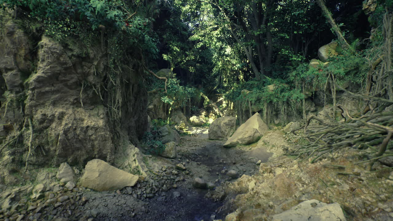 Lush forest landscape showcasing rocky terrain and vibrant greenery