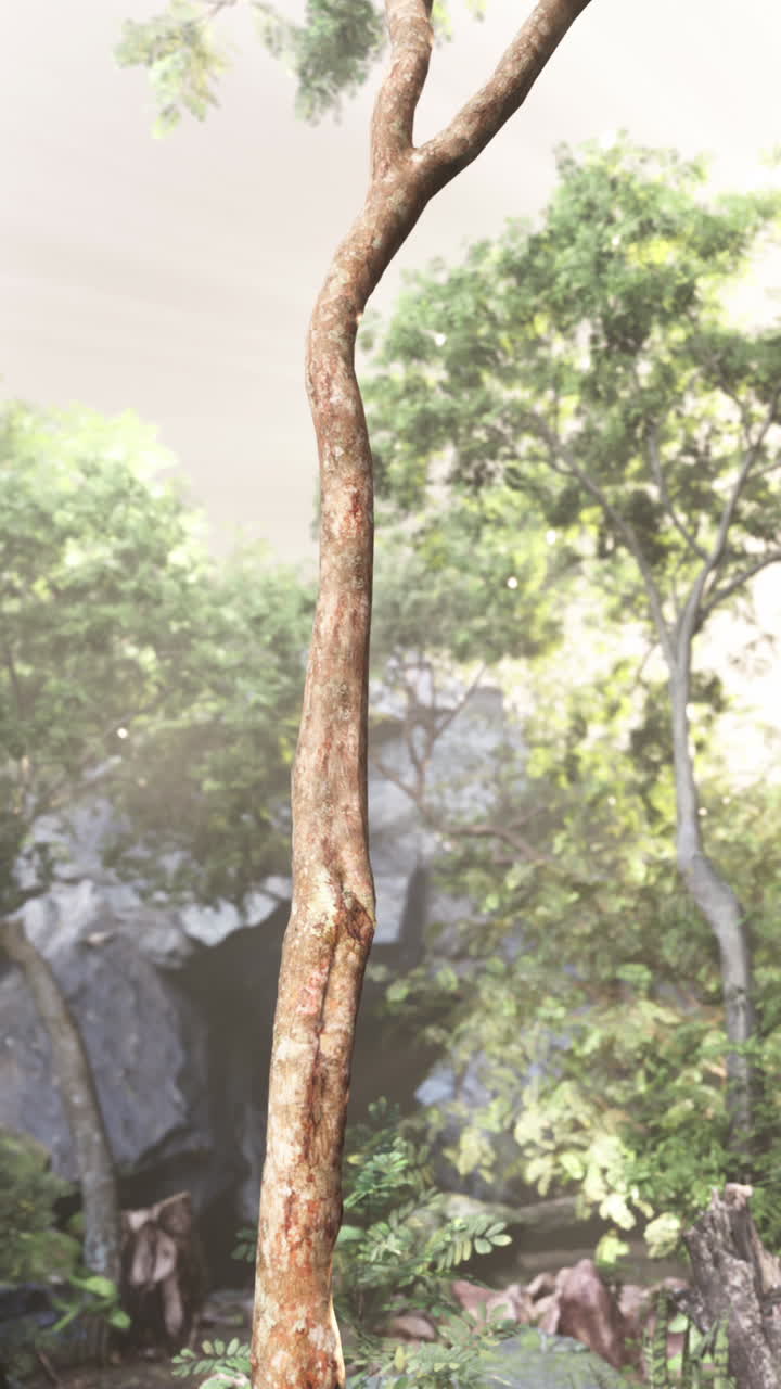 울창 한 열대 숲 에 있는 나무 줄기