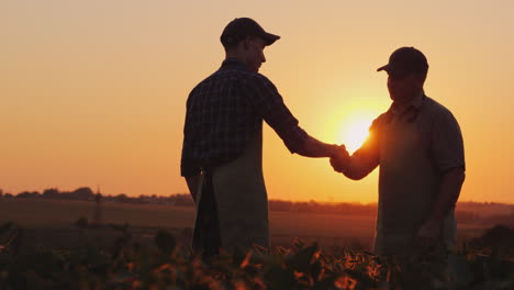 an elderly farmer shakes hands with a young colleague smile positive emotions