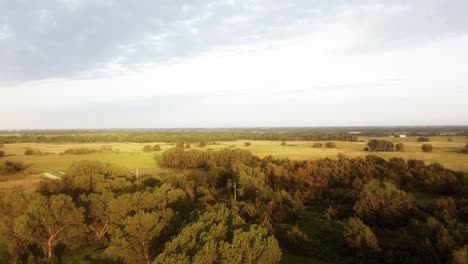 Antena-Sobre-Las-Copas-De-Los-árboles-Y-La-Extensa-Tierra-De-Kansas-Al-Atardecer-Lejos-Del-Sol