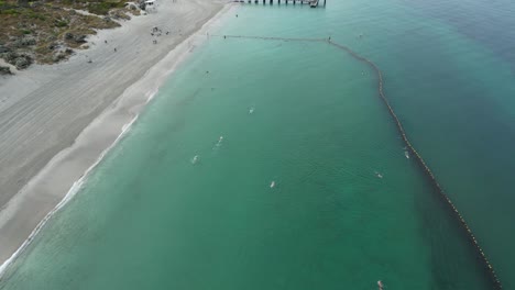 people swimming into shark protective net in coogee beach, perth city