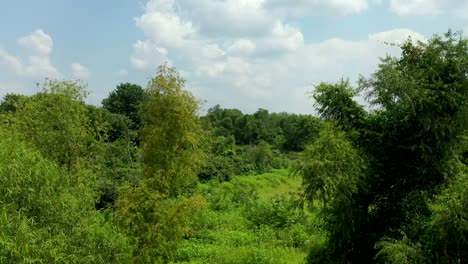 Cerca-De-La-Isla-De-Ellis-Cerca-Del-Puente-De-Clark-En-Missouri