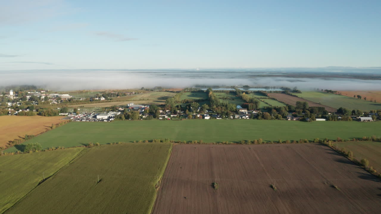 이른 아침에 안개가 낮게 드리워진 들판의 농지와 농작물