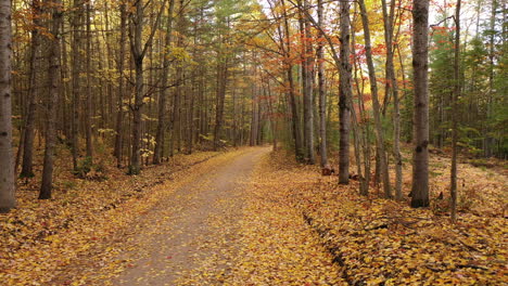 Fall-road-drone-footage-slow-steady