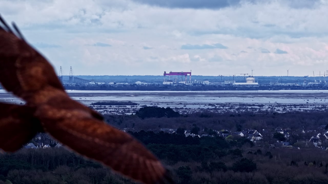 Coastal town foreground with distant shipyard industrial infrastructure