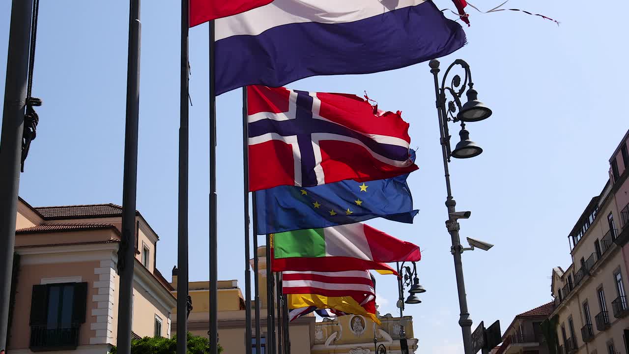 바람에 흔들리는 여러 발