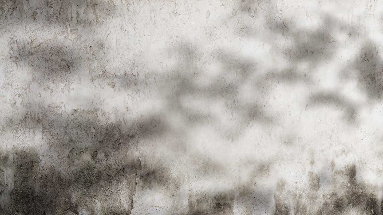 Ombre di alberi in movimento su un muro di cemento strutturato