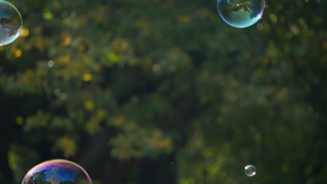 slow-motion shot of glittering soap bubbles in the autumnal city park with child's hands trying to catch them in the middle of the shot