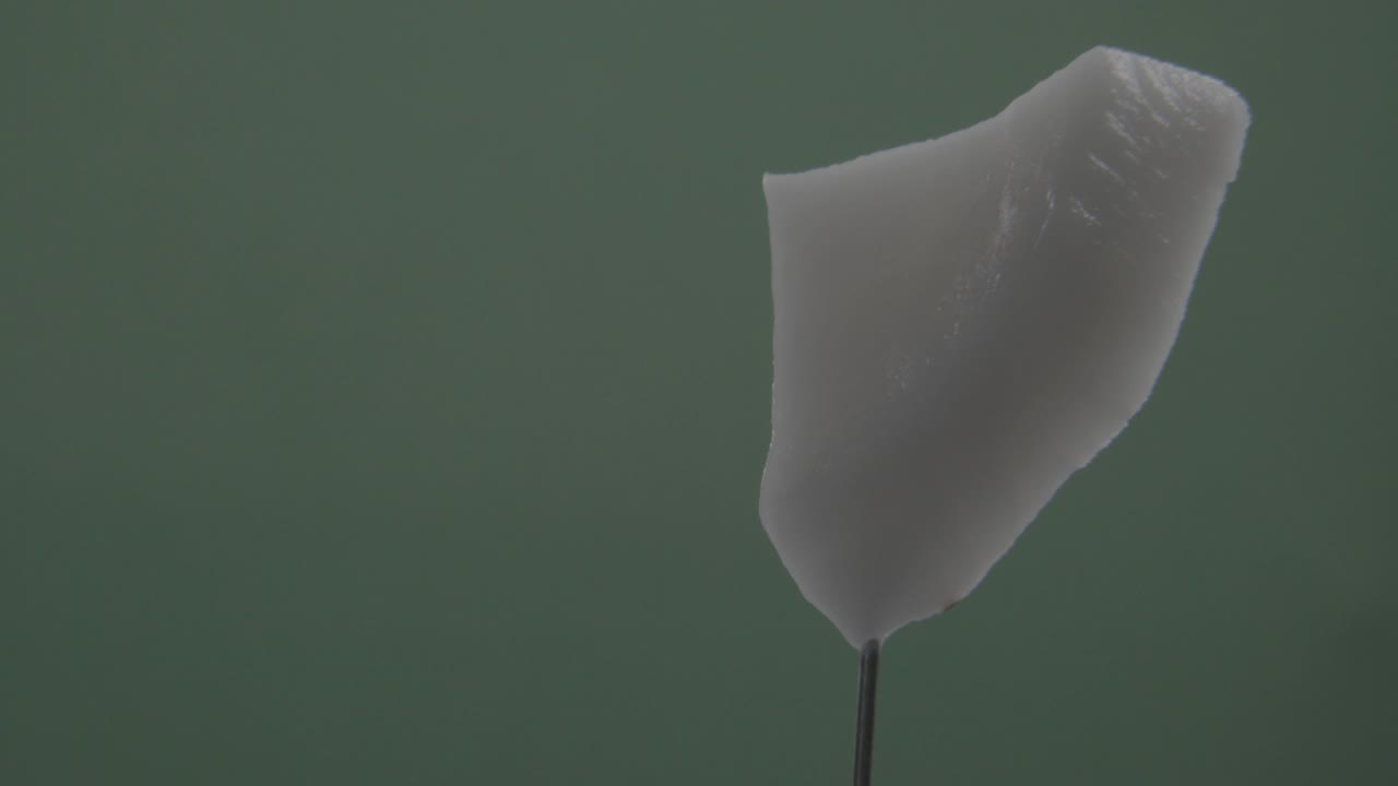 크로마 키를 위해 녹색 화면에 루프와 함께 코코 회전