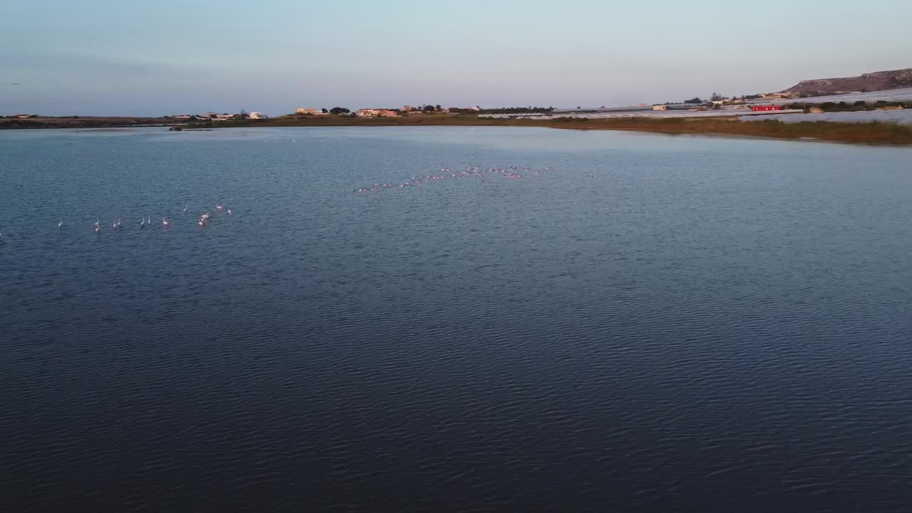 fotografía aérea que muestra muchos flamencos volando sobre el lago azul en italia