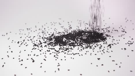 close up of nigella sativa falling on white background - slow motion