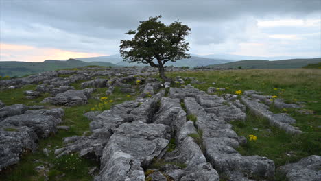 Puesta-De-Sol-En-Las-Piedras-De-Lone-Tree-Winskill,-Yorkshire