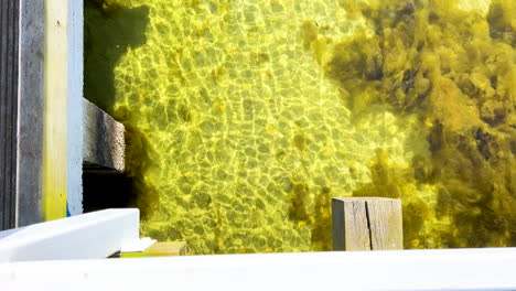 crystal clear waters viewed from a wooden deck, emphasizing the transparency and purity of the sea