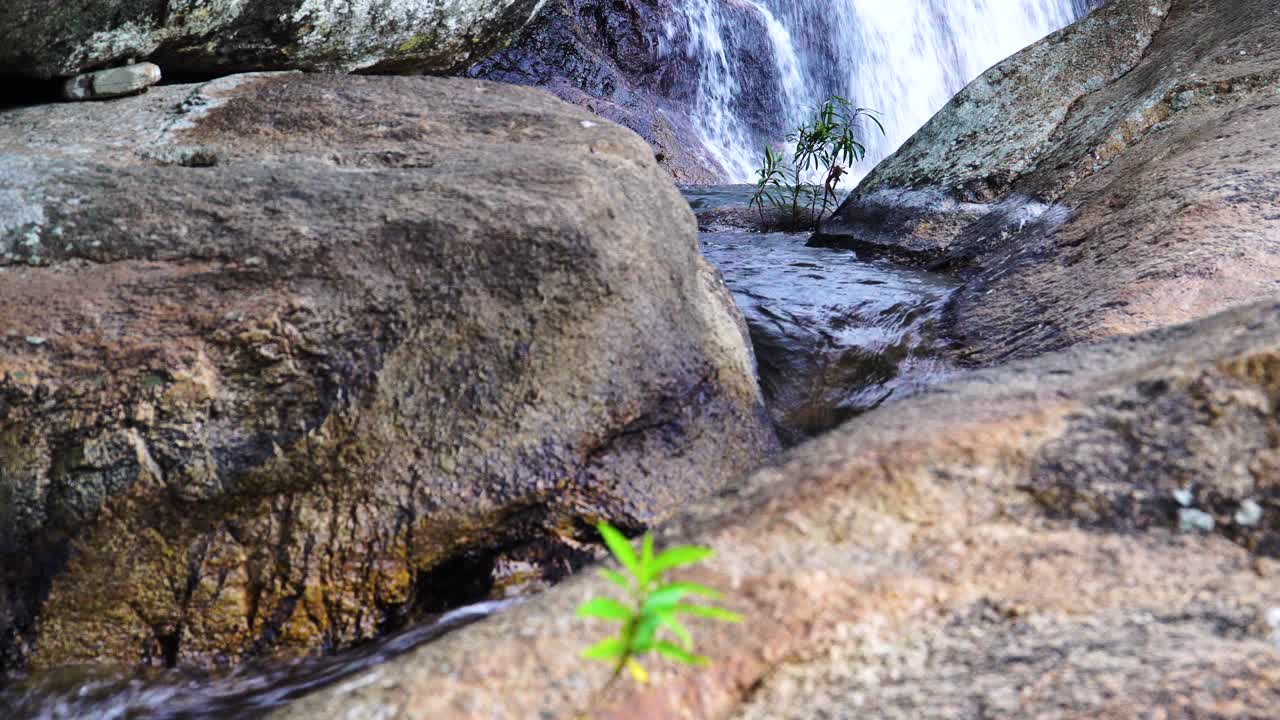 Close-up of a Waterfall Flowing Over Rocks and Plants
