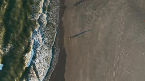 puesta de sol arrojando largas sombras de pareja caminando en la playa, antena aérea