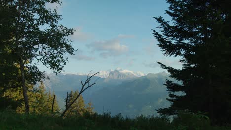 a mountain biker rides past the camera with mt-blanc in the background
