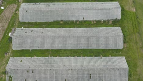 greenhouses lined up in a row in green field - aerial top down