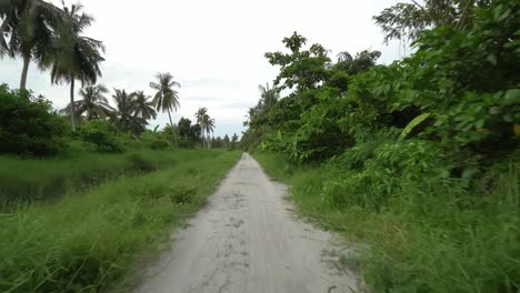 gimbal move at the countryside road