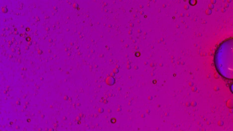 large air bubbles float on a pink and blue greasy liquid