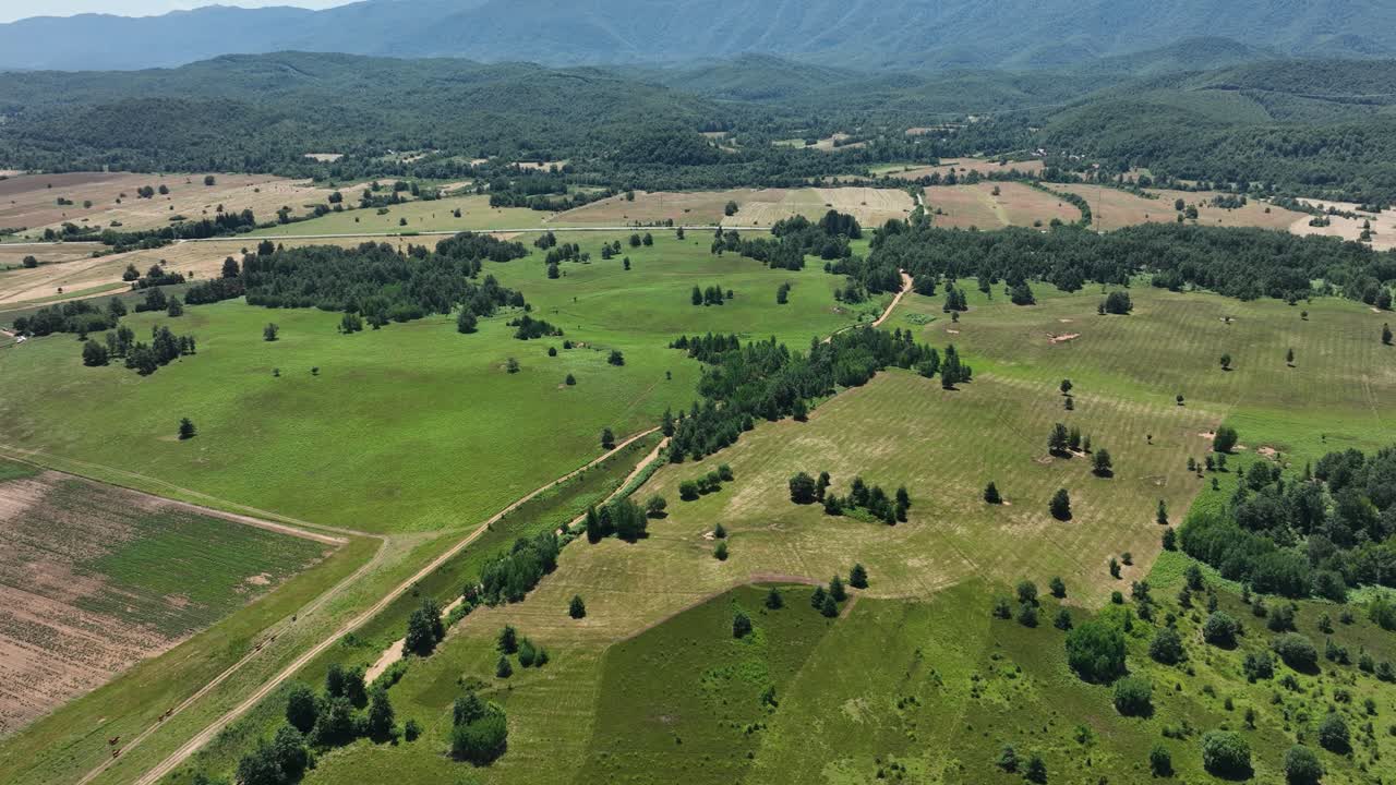 Aerial overview of a rural green landscape with fields and a distant tree line under a clear blue sky, tilt up