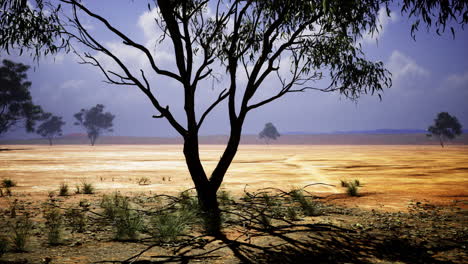 barren landscape with dramatic shadows under a vast sky at dusk