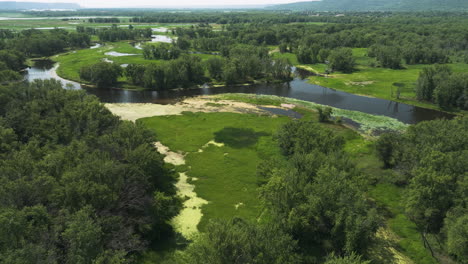 flyover aerial of delta floodplain forest beef slough in usa, mississippi river