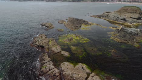 Drone-wide-shot-over-seagulls-on-sea-cliffs-4