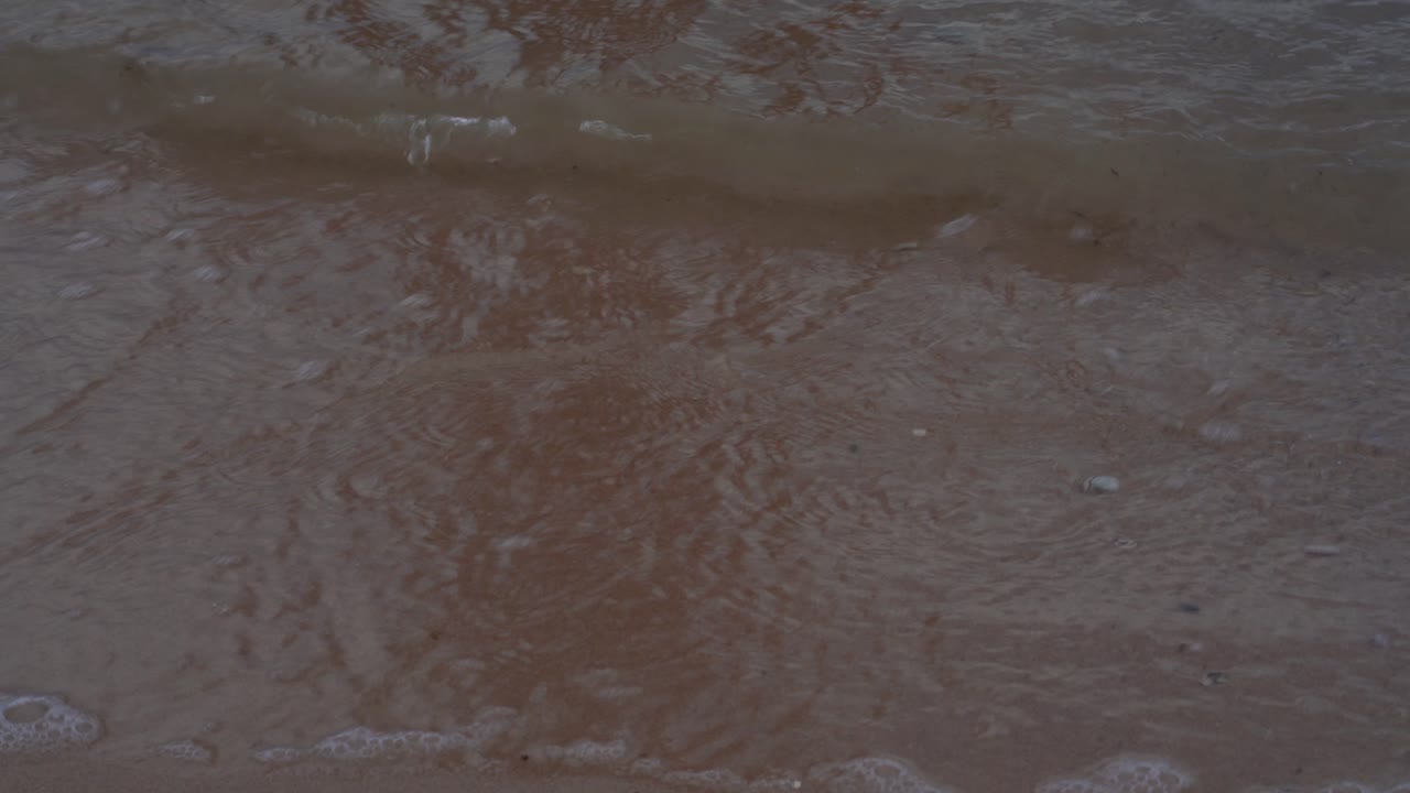 부드러운 파도가 갈색 모래사장을 굴린다.