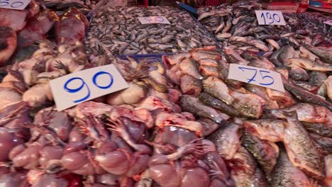 various fish displayed with price tags