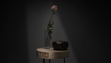 a single rose withers in a vase timelapse