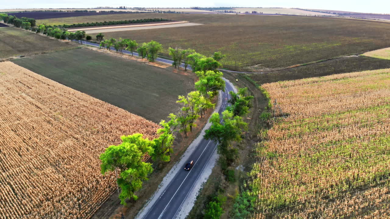Aerial drone view of a road with moving car in highland. Green fields and hills from north part of Moldova