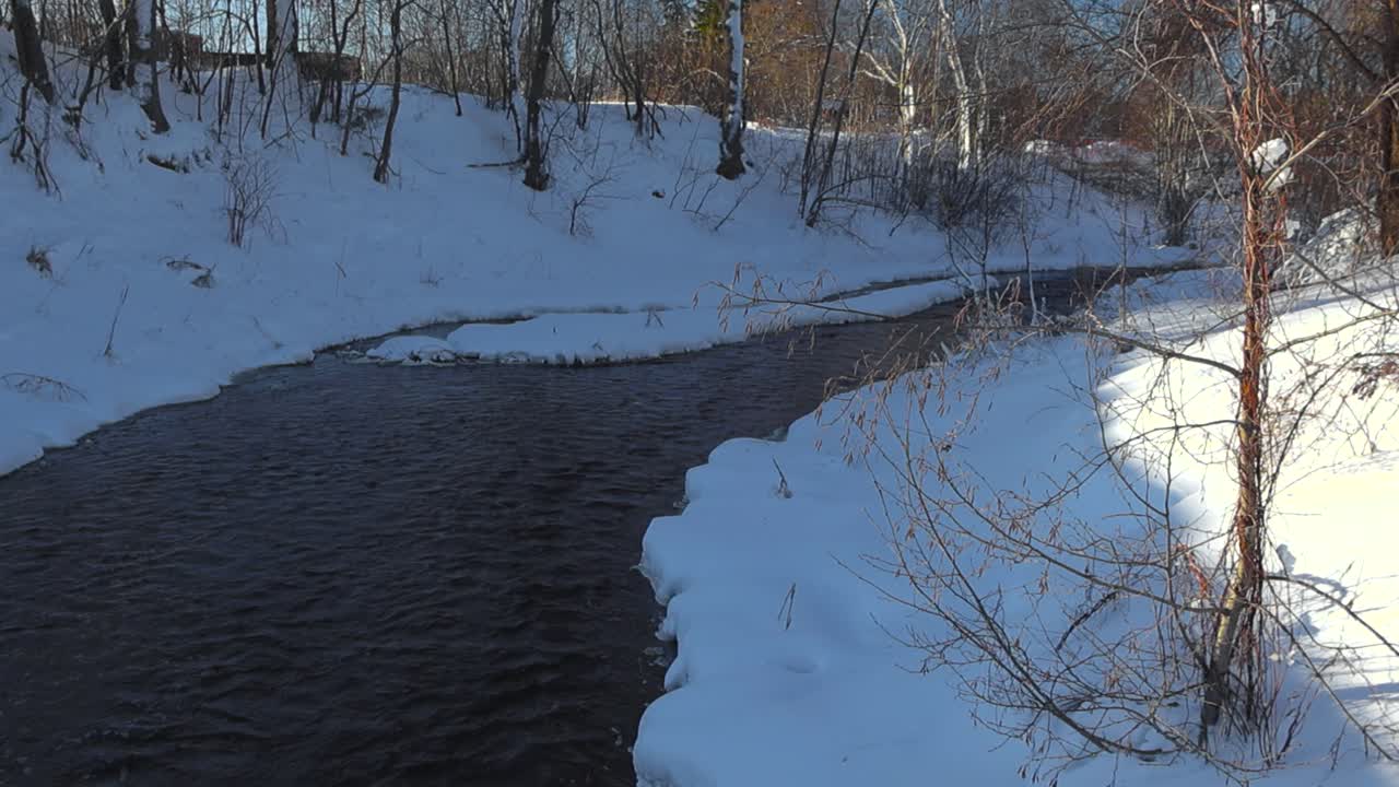 cold dark brown and blue river water flowing in slow motion through white snow covered riverbanks during winter sunny day while trees, bushes and small plants are covered in snow and on the sides.