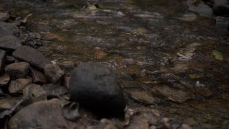 natural shallow stream of water flowing over rocks and pebbles medium shot