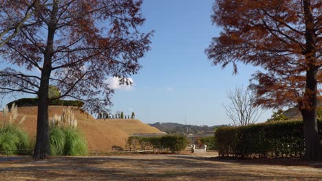 Suncheonman-Bay-National-Garden---Wunderschöne-Herbstlandschaft-Mit-Mammutbäumen-Im-Morgengrauen,-Die-Gegen-Den-Klaren-Himmel-In-Rote-Farbe-Geändert-Wurden