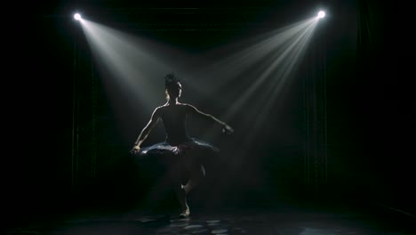 Silhouette of a graceful ballerina in a chic image 2023 11 27 04 58 00 utc (1).mov | action, alone, art, ballerina