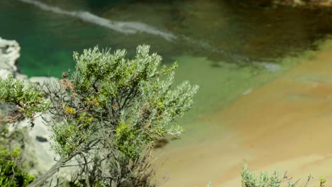 bushes swaying gently in the wind on the side of a cliff, capturing the beauty of nature and the power of the breeze against the rocky landscape.