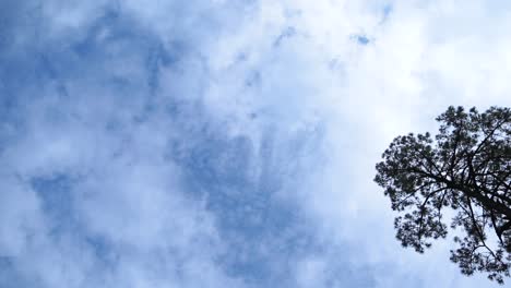 nubes en el cielo con un árbol