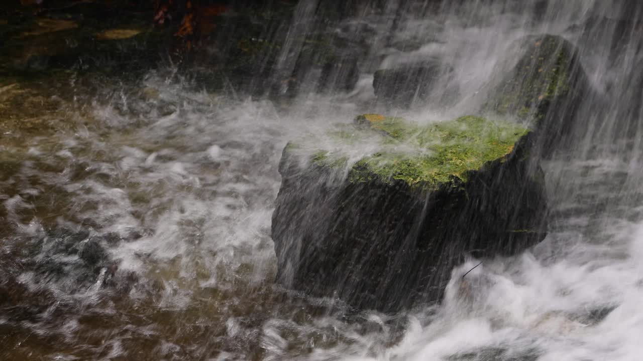 폭포 루프 아래의 모스 암석