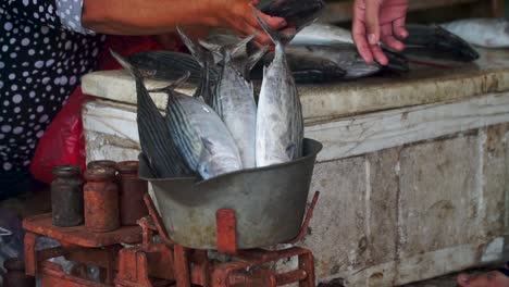 Ein-Fischverkäufer-Wiegt-Seinen-Fisch,-Während-Er-Eine-Transaktion-Auf-Dem-Fischmarkt-Durchführt-–-Er-Verkauft-Bonito-Thunfisch-Auf-Der-Fischmarktauktion