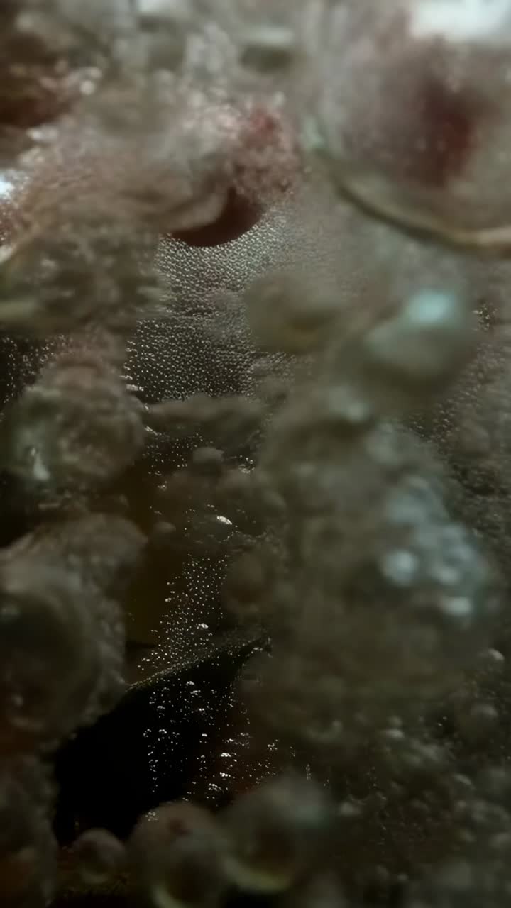 Video verticale: stufa che causa una colonna di gas gorgogliante che sale oltre sagome pallide immerse in una pentola