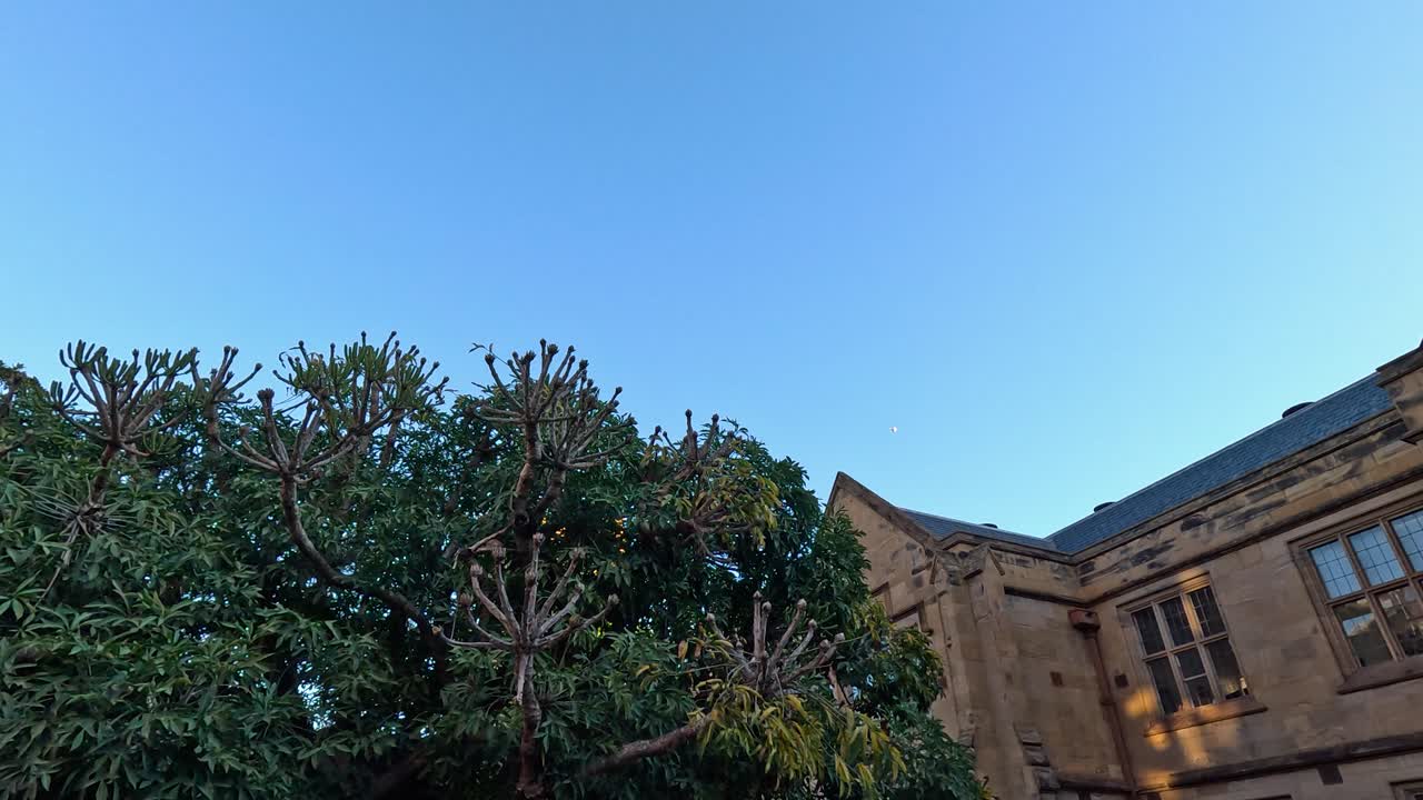 나무와 은 하늘이 있는 오래된 건물