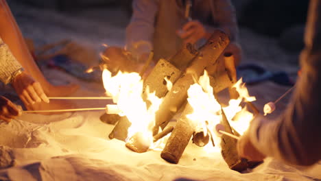 친구 들 이 밤 에 해변 에서 캠프 불 을 즐기고 있다