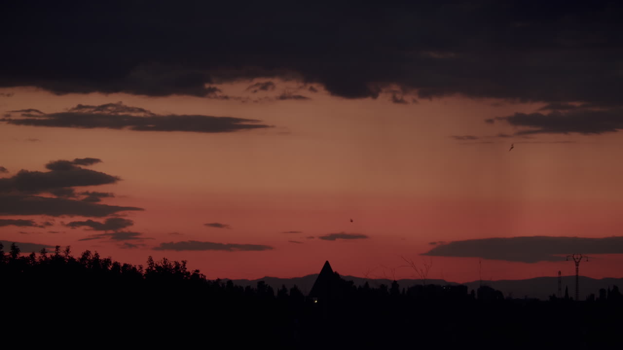 coches en el camino de la noche