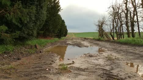 Filmische-Drohnenaufnahme-Einer-Wasserpfütze