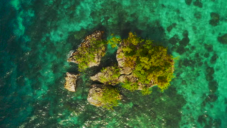 tropical island in turquoise water