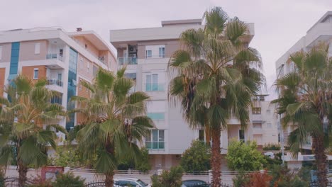 modern apartment buildings with palm trees